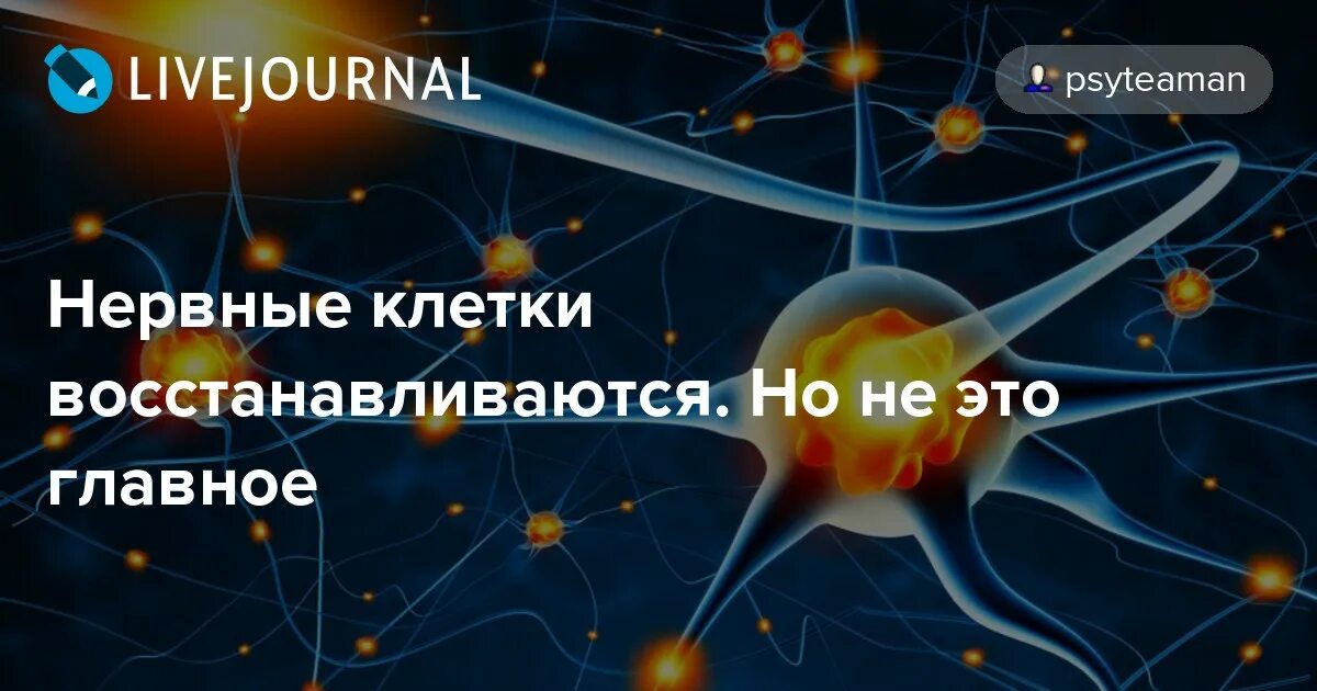внезапная дрожь в теле причины. почему беременным нельзя расстраиваться. нервный срыв симптомы. почему нельзя нервничать во время беременности. можно ли нервничать.