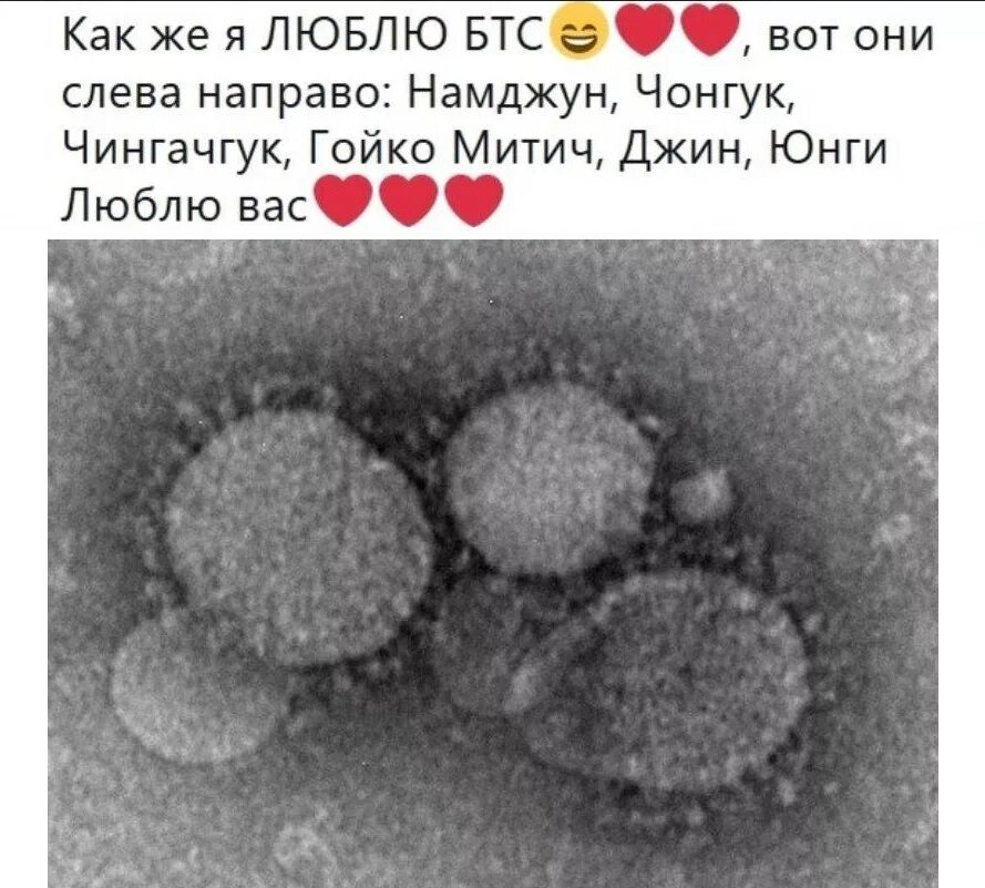 Чума коронавирус. Коронавирус по микроскопом. коронавирус снимок под микроскопом. вирус коронавирус под микроскопом. коронавирус электронная микроскопия.