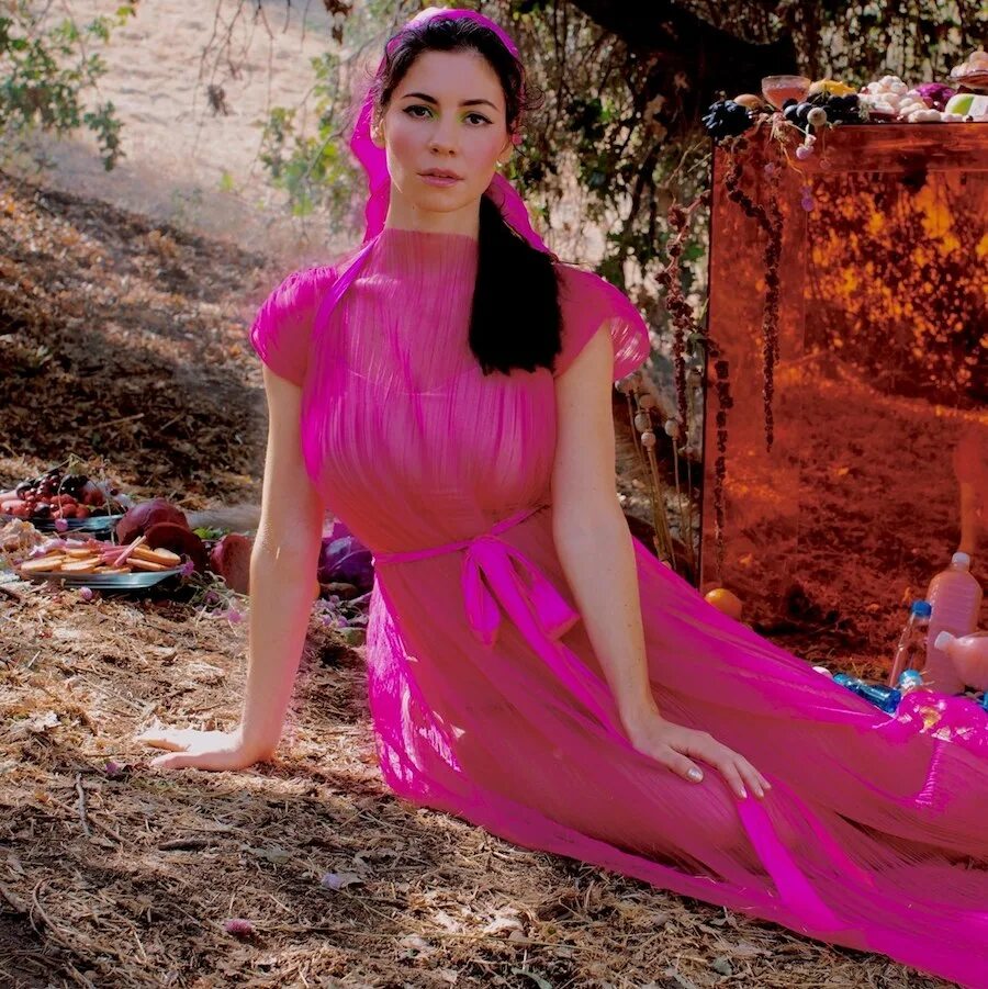 Marina and the diamonds mans world. Mans world marina перевод. Marina man's world. Marine manasian доктор. Marina world.