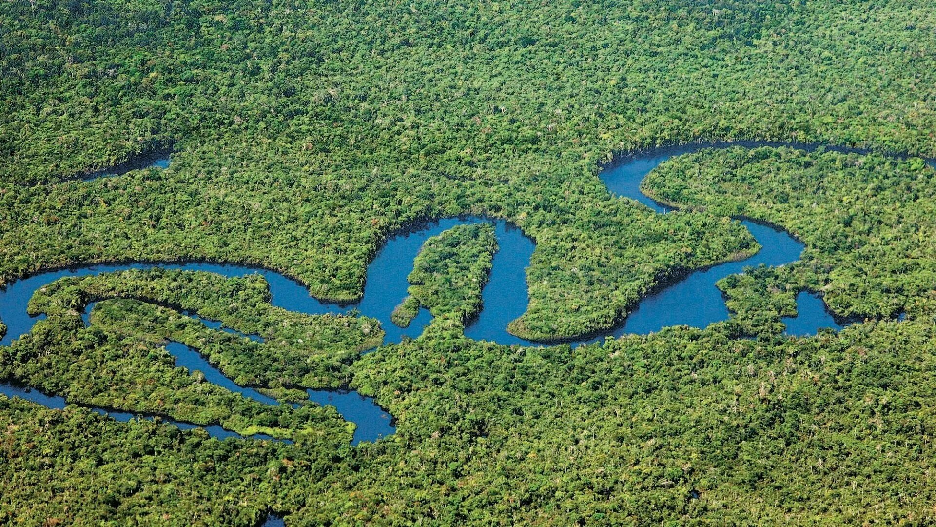 Южная Америка река Амазонка. Амазония река Амазонка. Бразилия Амазонская низменность. Самая большая река в бразилии