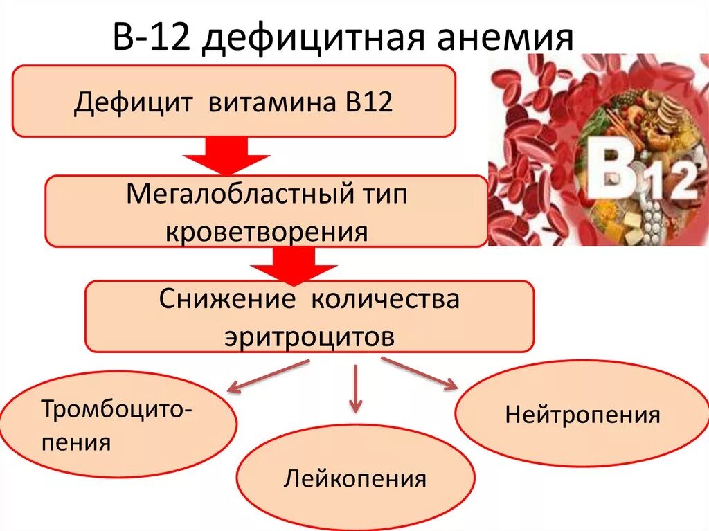 Анемия дефицита витамина b12 симптом. Витамин в12 дефицитная анемия жалобы. Б 12 дефицитная анемия изменения в крови. При б12 дефицитной анемии отмечается. Б 12 исследования