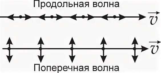 Картинки ПРИМЕРОМ ПРОДОЛЬНОЙ ВОЛНЫ ЯВЛЯЕТСЯ ЗВУКОВАЯ ВОЛНА