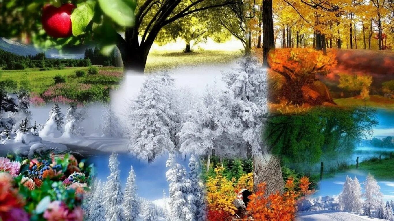 Коллаж природа. Поры года. Четыре сезона года. Коллаж времена года