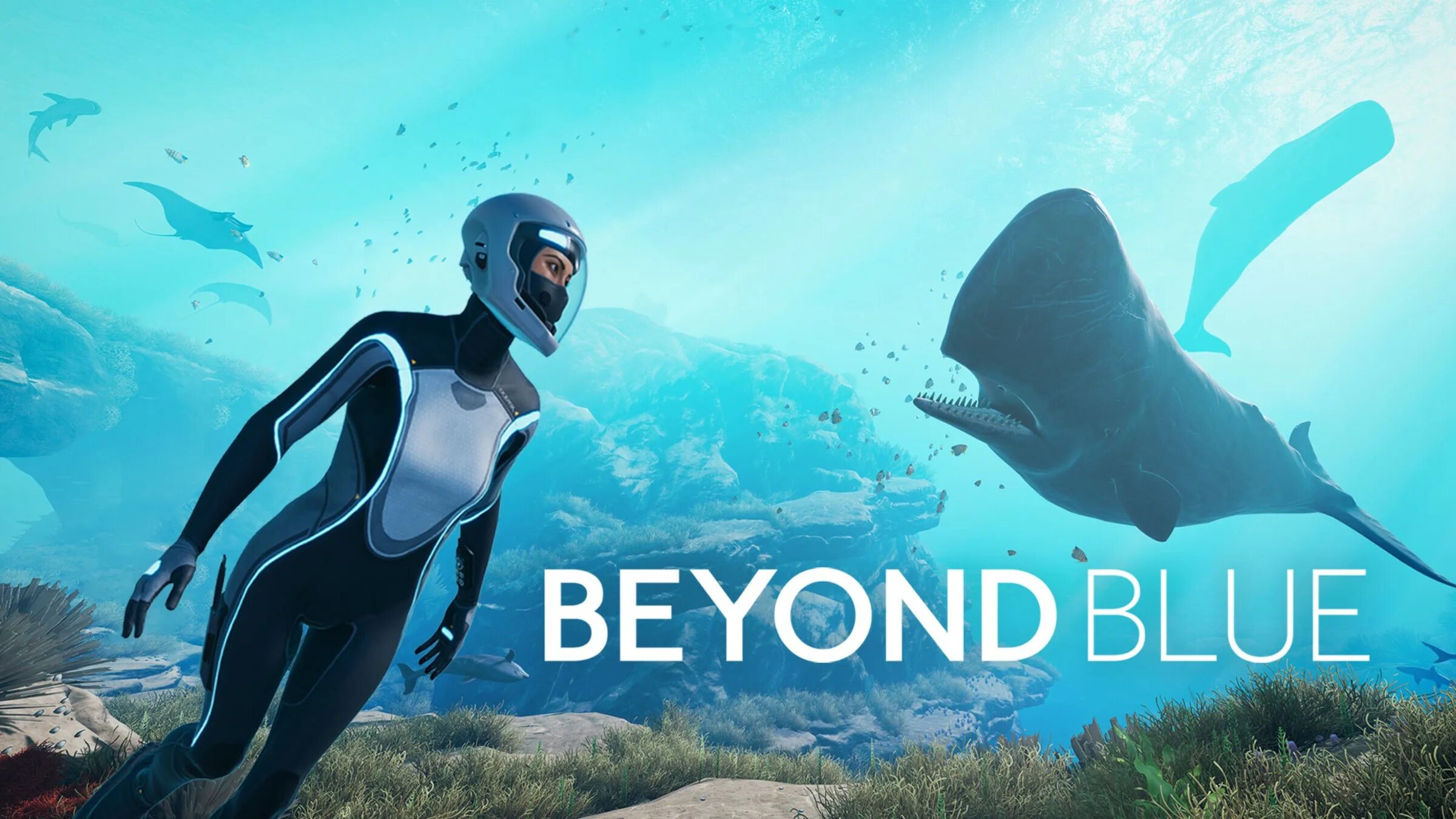 Бейонд Блу. Beyond Blue игра. Beyond Blue (Video game). Beyond Blue геймплей.