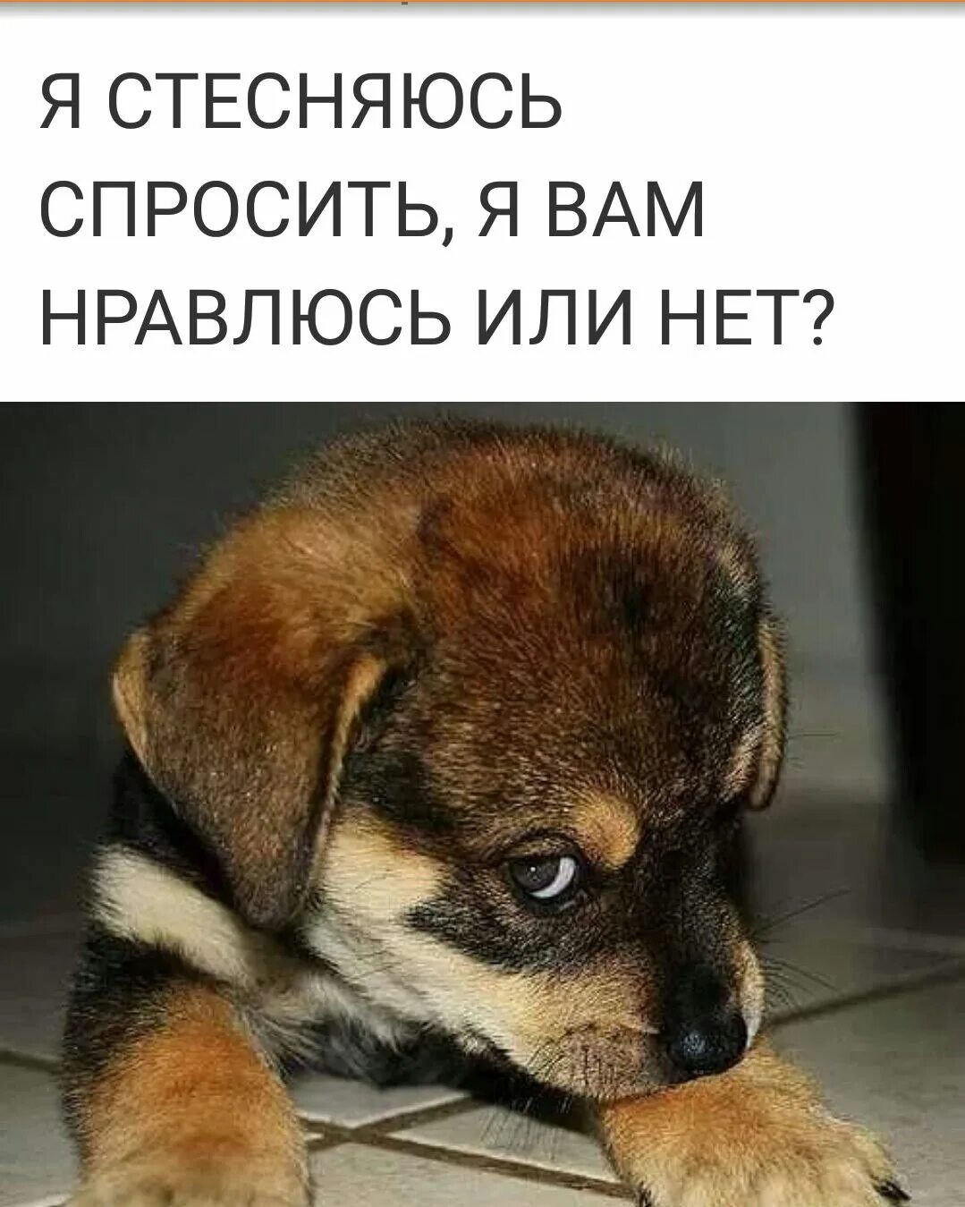 Стесняюсь сказать парню. Стесняюсь спросить картинки. открытка стесняюсь спросить. я стесняюсь спросить. открытки стесняюсь.