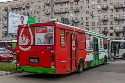 98 автобус спб