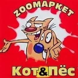 Кот и пес контакты