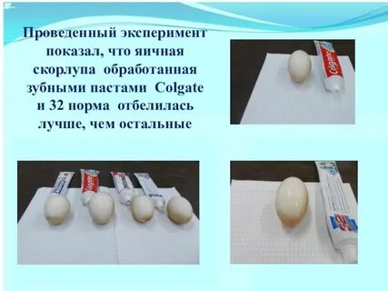 Эксперимент с яйцом