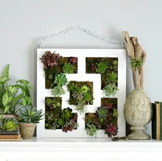 Hack plants