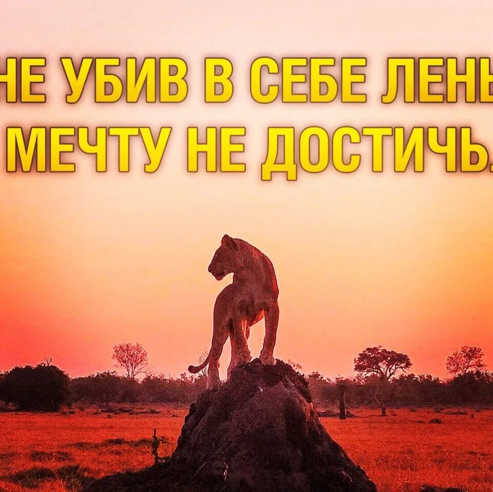 Убей в себе лень. Не убив в себе лень мечту не достичь. Убей в себе лень иначе лень. Убей себя твое нежное