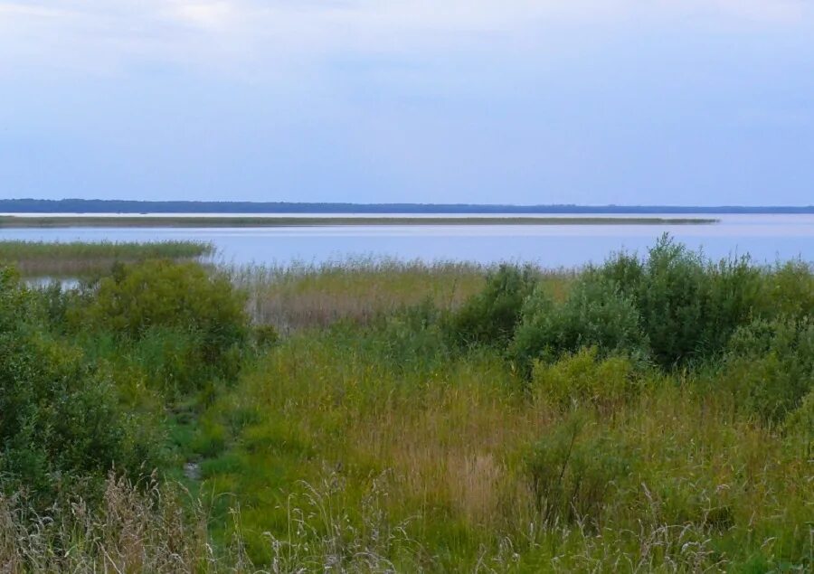 6 км озера. Озеро Самро. Оз Самро Ленинградская область. Озеро Самро палатки. Озеро Воякоярви рыбалка.
