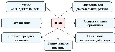 Зож и его составляющие обж 9 класс