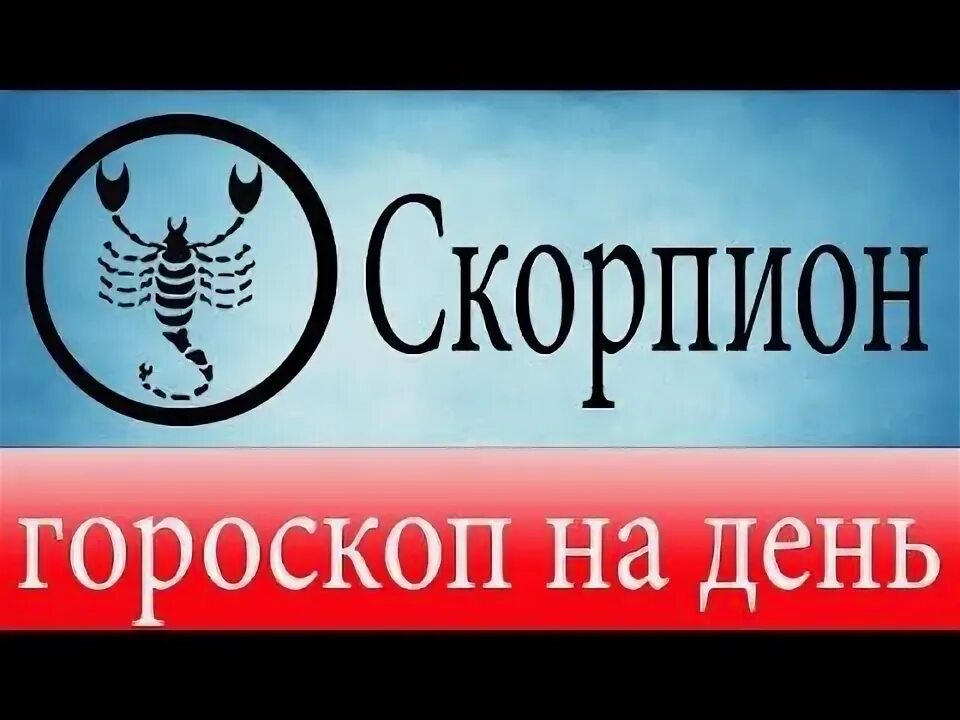 Сегодня скорпион и работа. Сегодня скорпион и работа