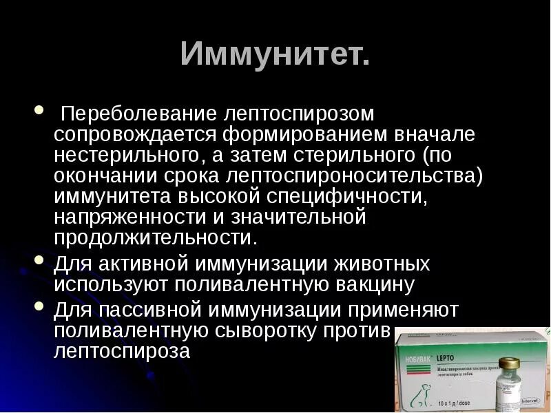 Лептоспироз инфекционный. Лептоспироз факторы патогенности. Патогенез лептоспироза у человека. Стерильный и нестерильный иммунитет. Лептоспиры иммунитет.