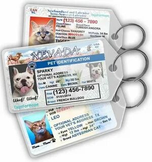 Animal id