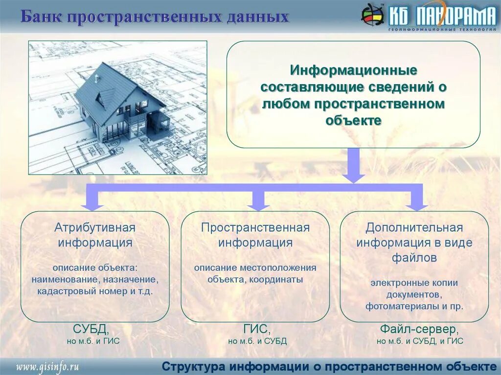 Пространственные базы данных. Банк пространственных данных. Виды пространственных данных. Пространственные данные в ГИС. Гис атз