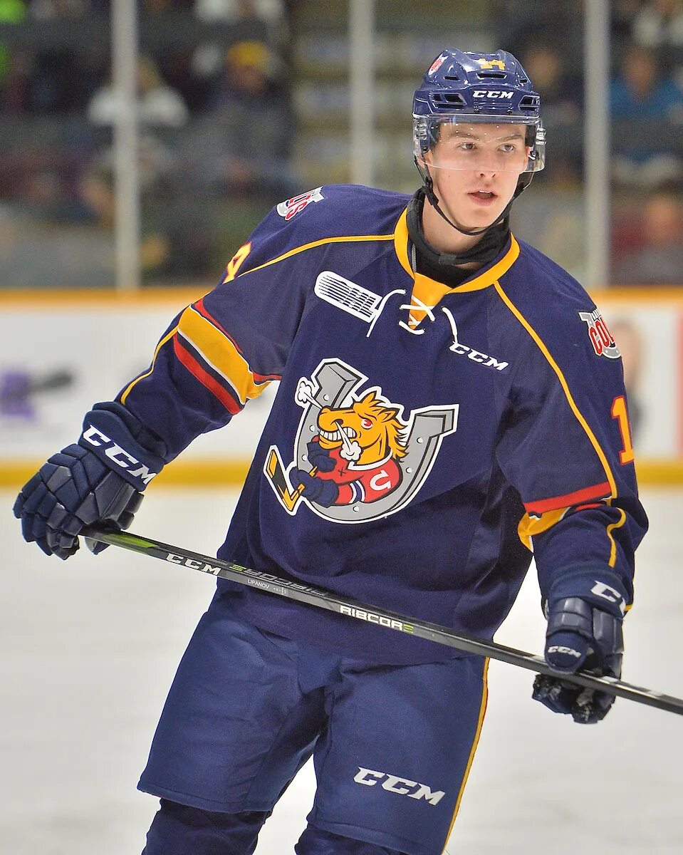 Барри кольтс. Barrie Colts. Barrie Colts Hockey. Барри Кольтс форма. OHL.