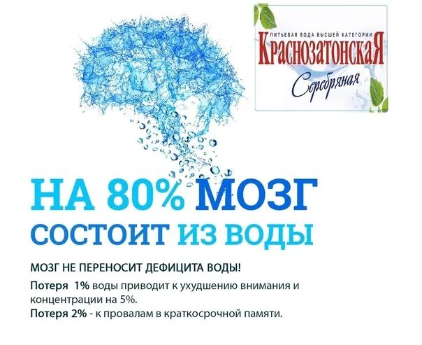 Заказ воды краснозатонская. Краснозатонская серебряная. Эколайн Сыктывкар. Эколайн Сыктывкар доставка воды. Идеи визитка доставка воды.