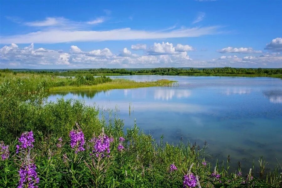 Весенняя река. Засветилось на том берегу. Природа река деревья. Усадьба ясная поляна пруд. Осеннее небо вечером у речки.