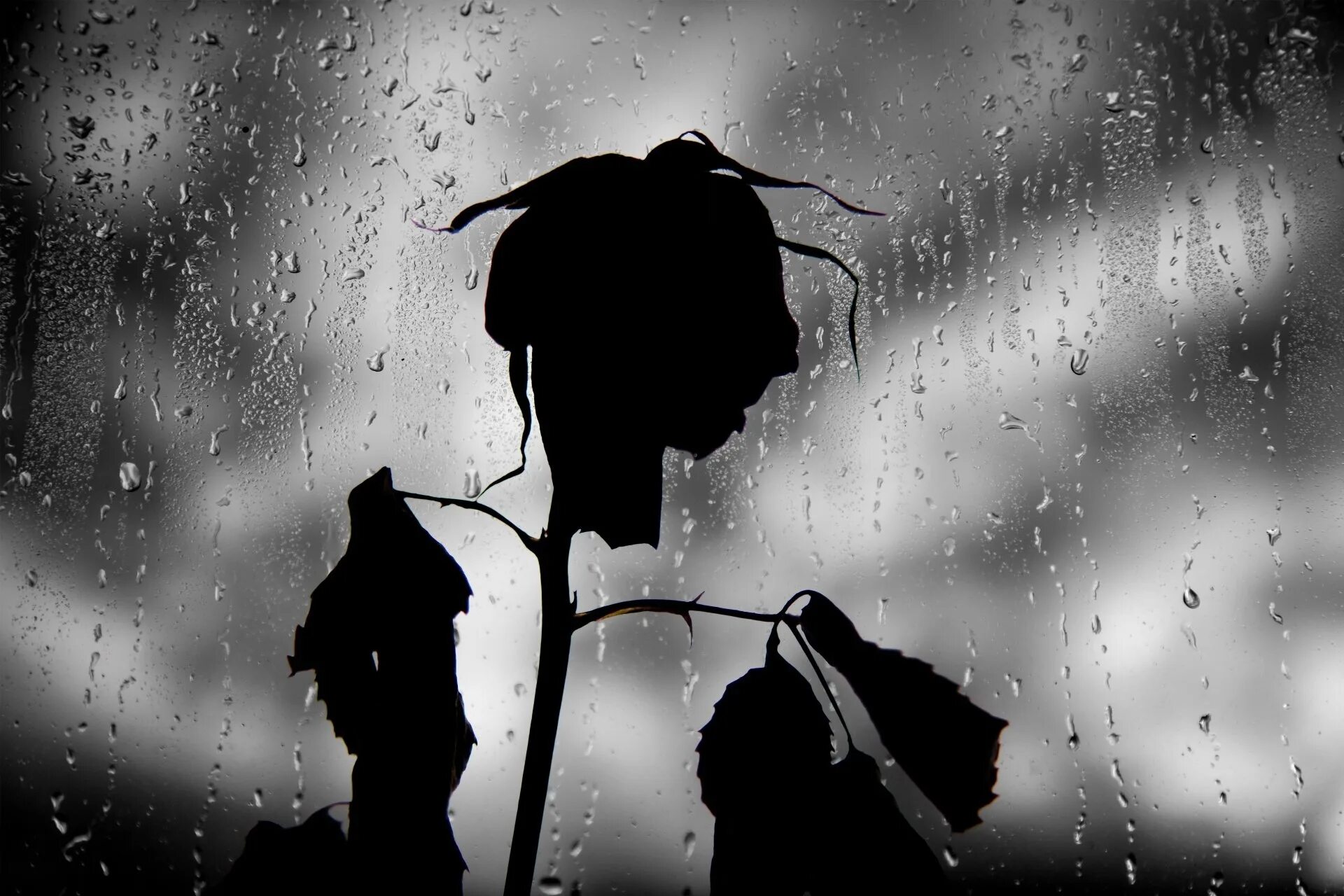 Заставки тоска. Грустные стихи. Одиночество боль. Страдающая девушка. Тоска какая.