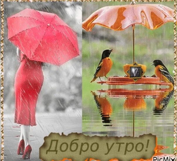 Доброго дня октябрь дождь