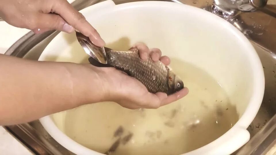Чистка рыбы. Очистка от чешуи. Очистить рыбу от чешуи ложкой. Как отмыть рыбу
