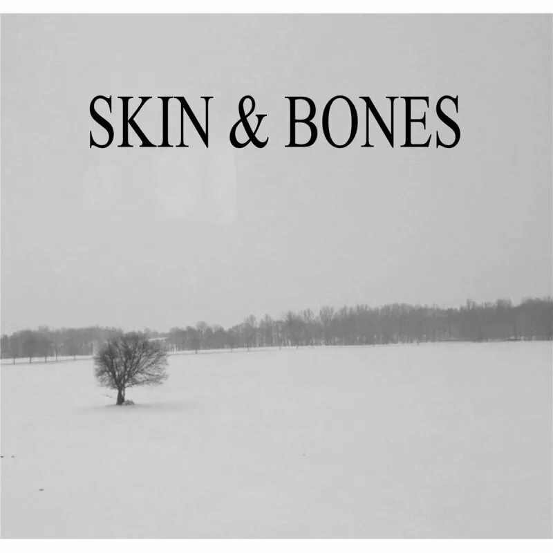 Обложки песен Bones. Bones skinny. Skin and Bone. Bone Skinhead. Skin and bones david