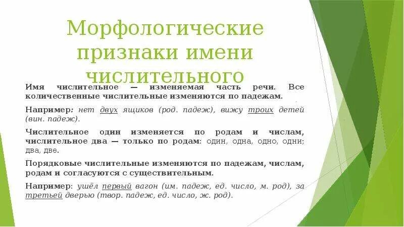 Морфологические признаки порядковых числительных. Числительные морфологические признаки. Постоянные морфологические признаки числительных. Морфологические и грамматические признаки числительного. Постоянный морфологический признак числительного.