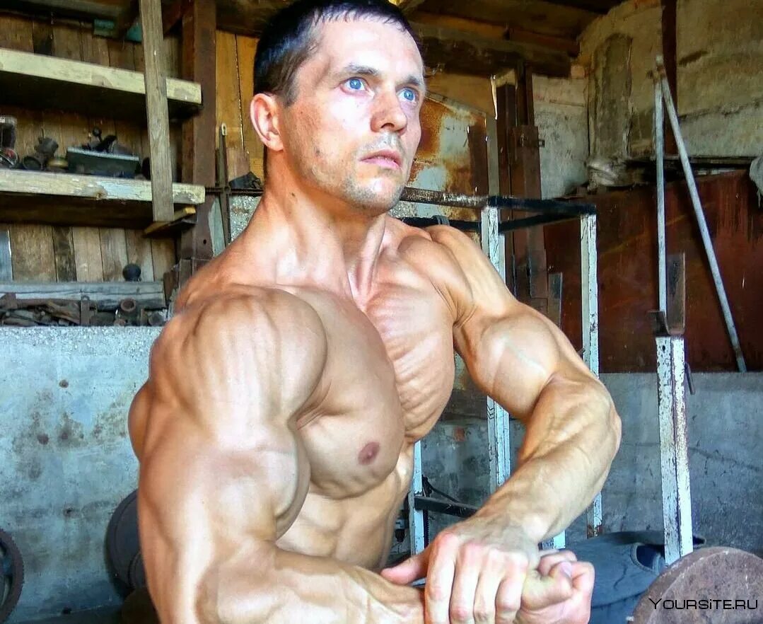 Шредер ютуб. Шредер ютуб