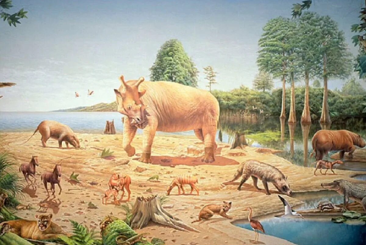 Кайнозойская эра период палеоген. Кайнозойская эра палеоген климат. Зденек буриан млекопитающие миоцена. Кайнозойская эра палеоген. Кайнозой это.