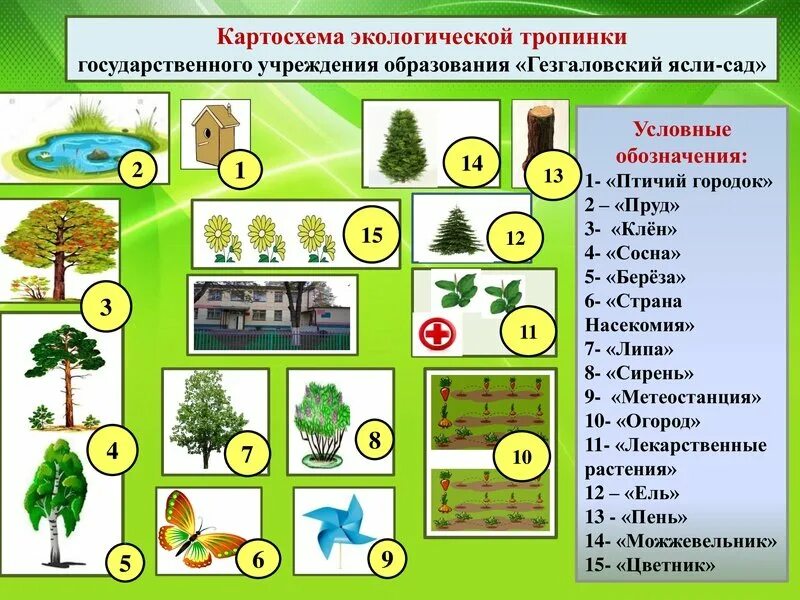 Детская экологическая тропа. Экологическая тропа в ДОУ маршрут. Экологическая тропинка в детском саду. Схема экологической тропы. Занятие экологическая тропа средняя группа