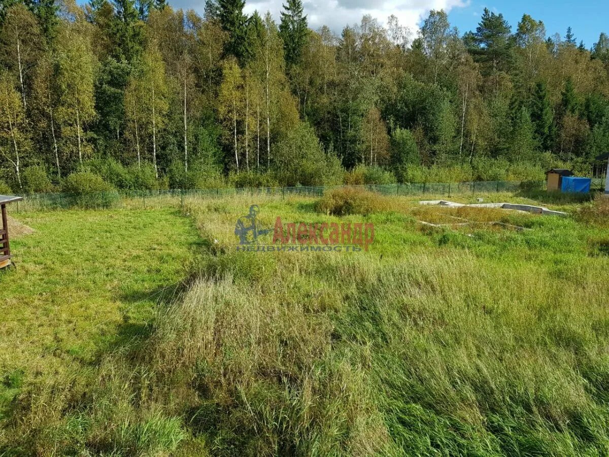 Озерки всеволожского. Озерки всеволожского. Озерки всеволожского. Деревня озерки. Озерки всеволожского.