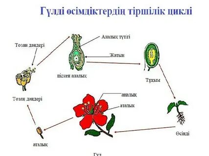 Саша Грей шұлық пен биік өкшелі туфлиде жопты алады