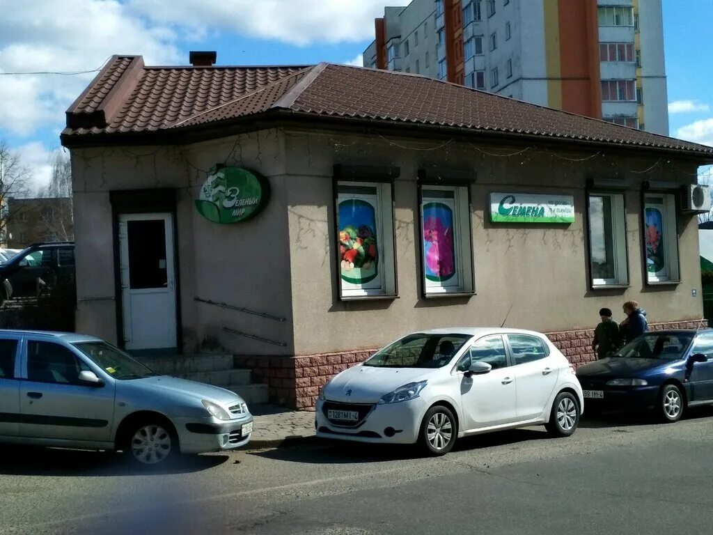 гродно зелёный мир. питомник зеленый горизонт стромынь. зеленый мир гродно. гродно зелёный мир. зеленый мир стоимость цветов.