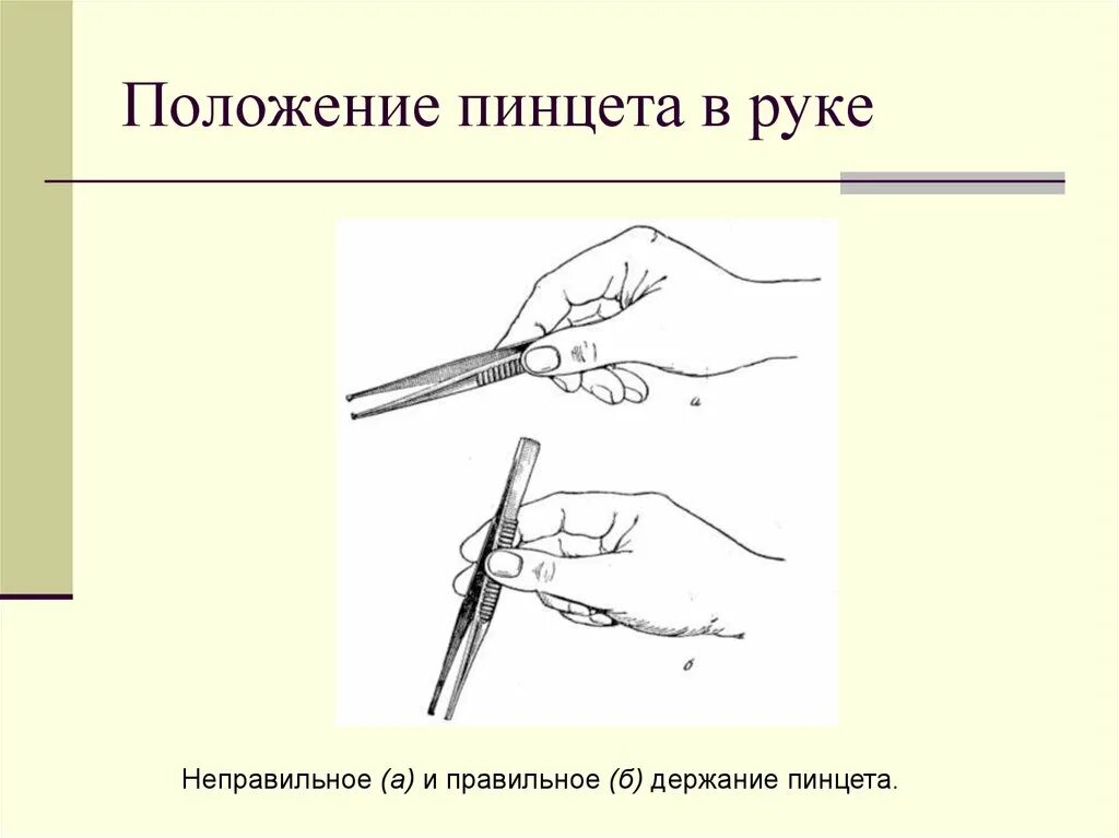 Как правильно держать пинцет. Положение анатомического пинцета в руке. положение хирургического пинцета в руке. правильное положение пинцета в руке. положение пинцета в руке правильное неправильное.