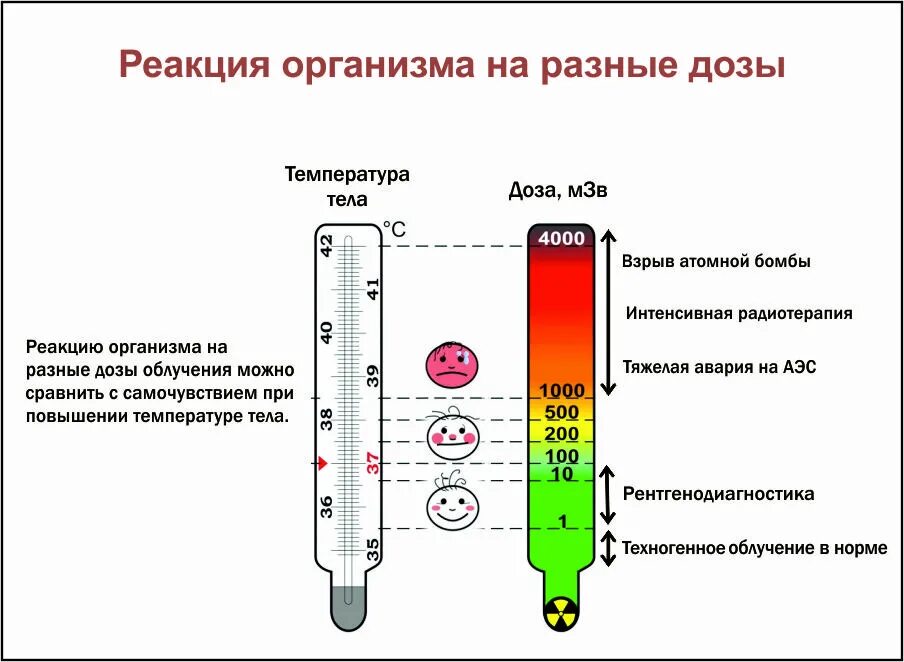 Реакция организма на радиацию. Реакция организма на облучение. Температура защитная реакция организма. Реакция организма при повышении температуры