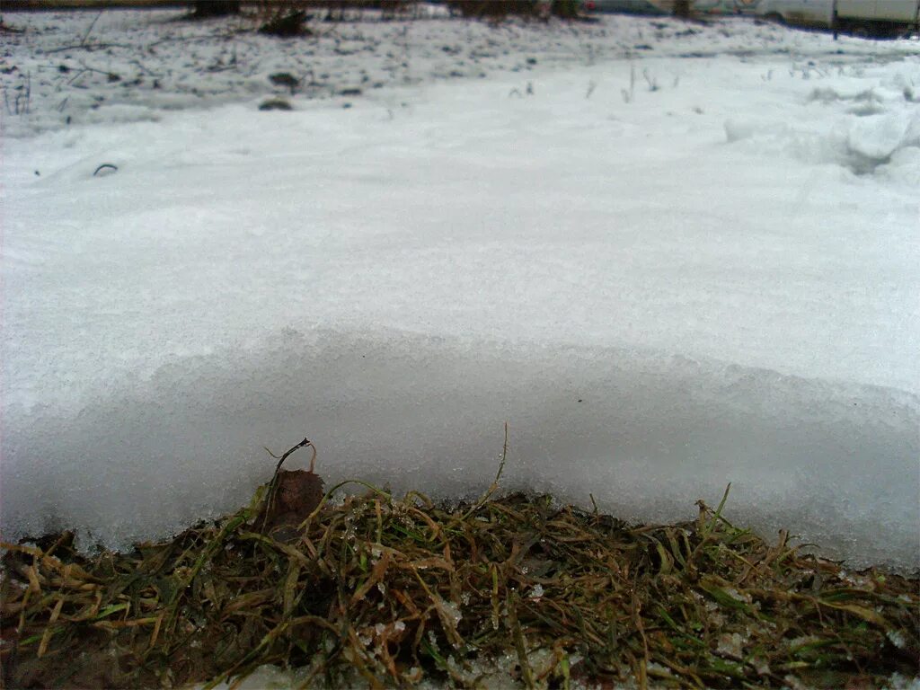 все было покрыто снегом. зимнее утро. не покрытая снегом. заснежено как пишется. когда земля покрывается снегом 2 класс окружающий мир.