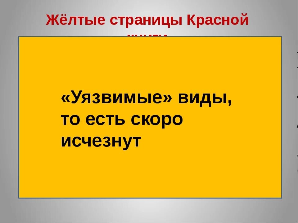 Желтая книга россии. Желтые страницы красной книги. Желтые страницы красной книги животные. Красная книга России желтые страницы животные. Желтые листы красной книги.