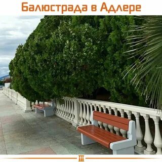 Южное взморье до сочи парк