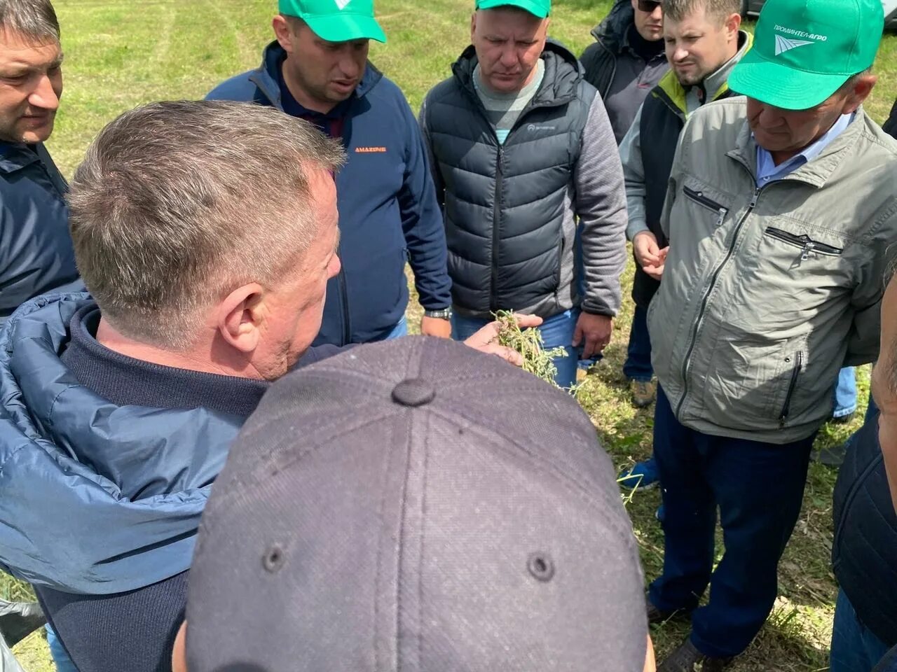 Кфх колос. Сельское хозяйство республики татарстан фото. Агрофирма колос тетюши. Агрофирма колос тетюши. Агрофирма колос марий эл.