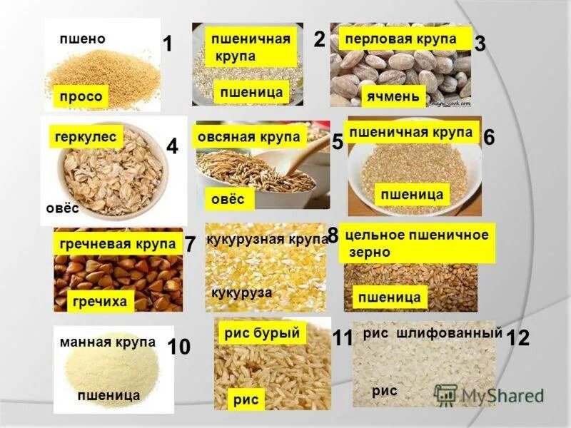 Названия круп из пшеницы. Каша из пшеницы название. Крупы для каш. Злаковые крупы.