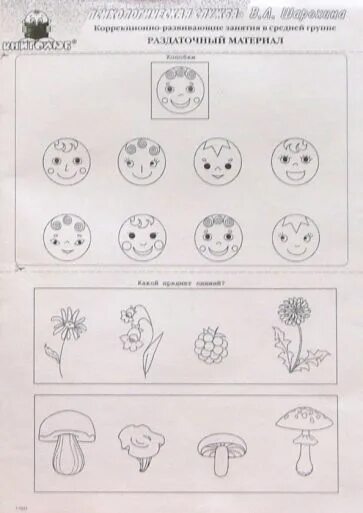 Задания для детей с зпр. Коррекционно развивающие занятия в подготовительной группе. Коррекционно развивающие занятия в подготовительной группе. Коррекционные упражнения для детей с умственной отсталостью 1 класс. Шарохина старшая группа коррекционно-развивающие занятия.