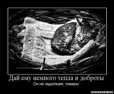 Дай немного тепла