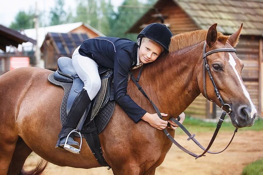 Кск мама. Конный клуб. Лошади конный клуб. Фотосессия с лошадьми. Конноспортивный клуб.