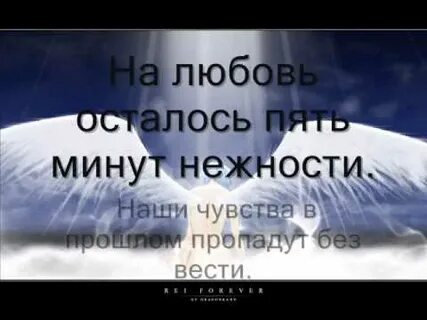 Текст песни ангелы здесь больше не живут