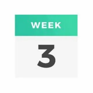 7 weeks 3 days slowed