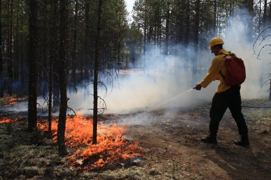 Сохрна лесаа от пожара. Охрана лесов от пожаров. Пожарная охрана лес. Лес в огне.