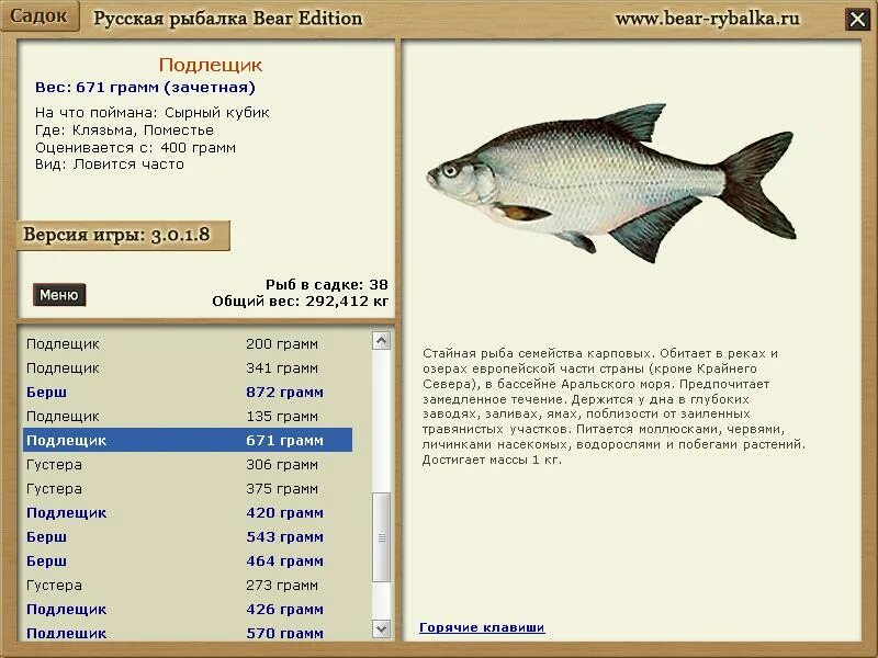 рыба в клязьме владимирская область. какая рыба в клязьме. рыбы обитающие в клязьме. рыбы владимирской области. река клязьма ногинск рыбалка.