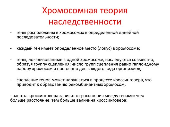 Положениями хромосомной теории наследственности является. Хромосомная теория наследственности. Хромосомная теория наследственности 10 класс. Хромосомная теория наследственности год. Хромосомная теория наследования кратко.