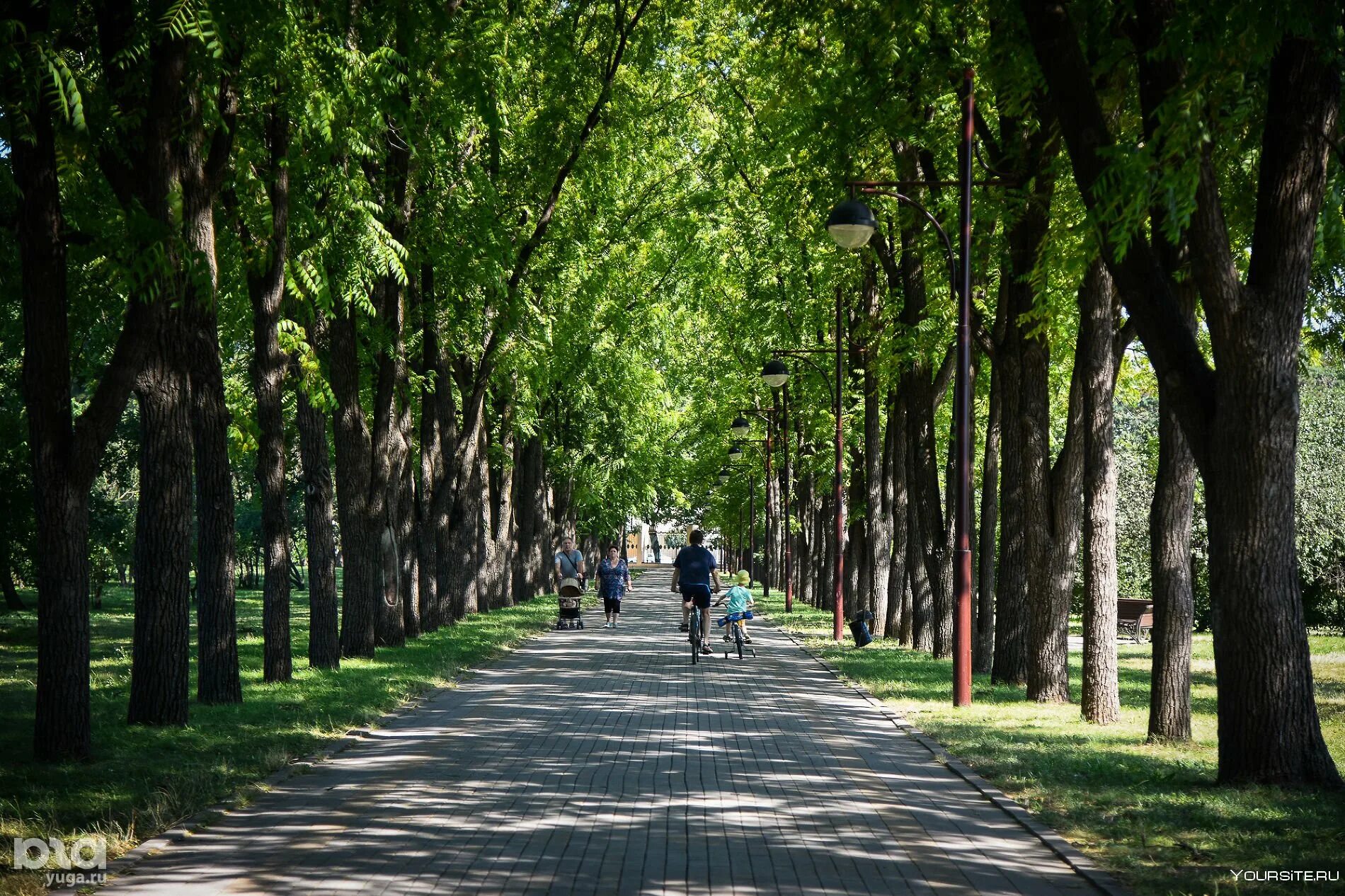 Городские зеленые зоны. Баден аллея Краснодар. Зеленые зоны Краснодар. Сквер им Рахманинова Краснодар. Краснодар уех Парковая зона.